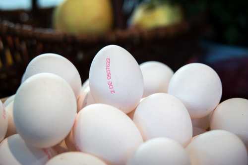 яйца, eggs