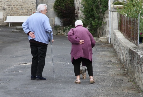 Болезни лиц пожилого и старческого возраста